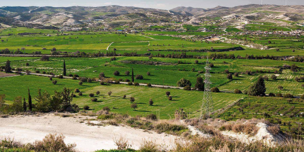 Estudios de suelos para agricultura en el Alt Penedès