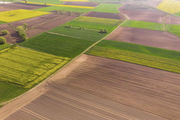 Estudios Edafológicos · Ingenieros Geotécnicos y Geofísicos El Pla del Penedès